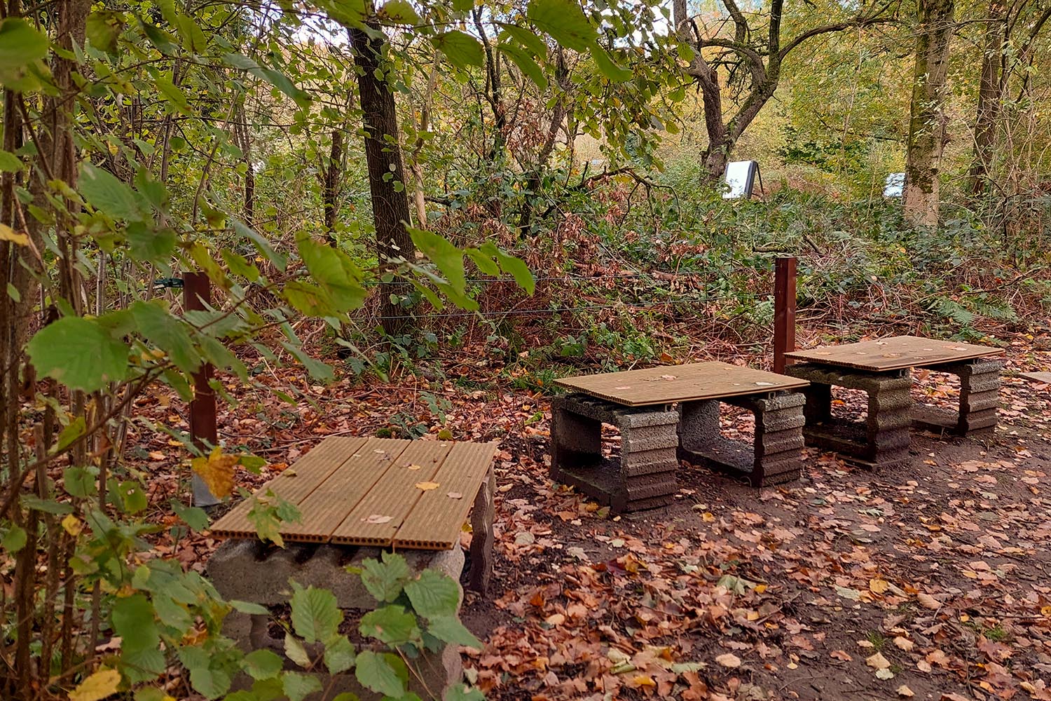 Mehr über den Artikel erfahren Winterschlaf?